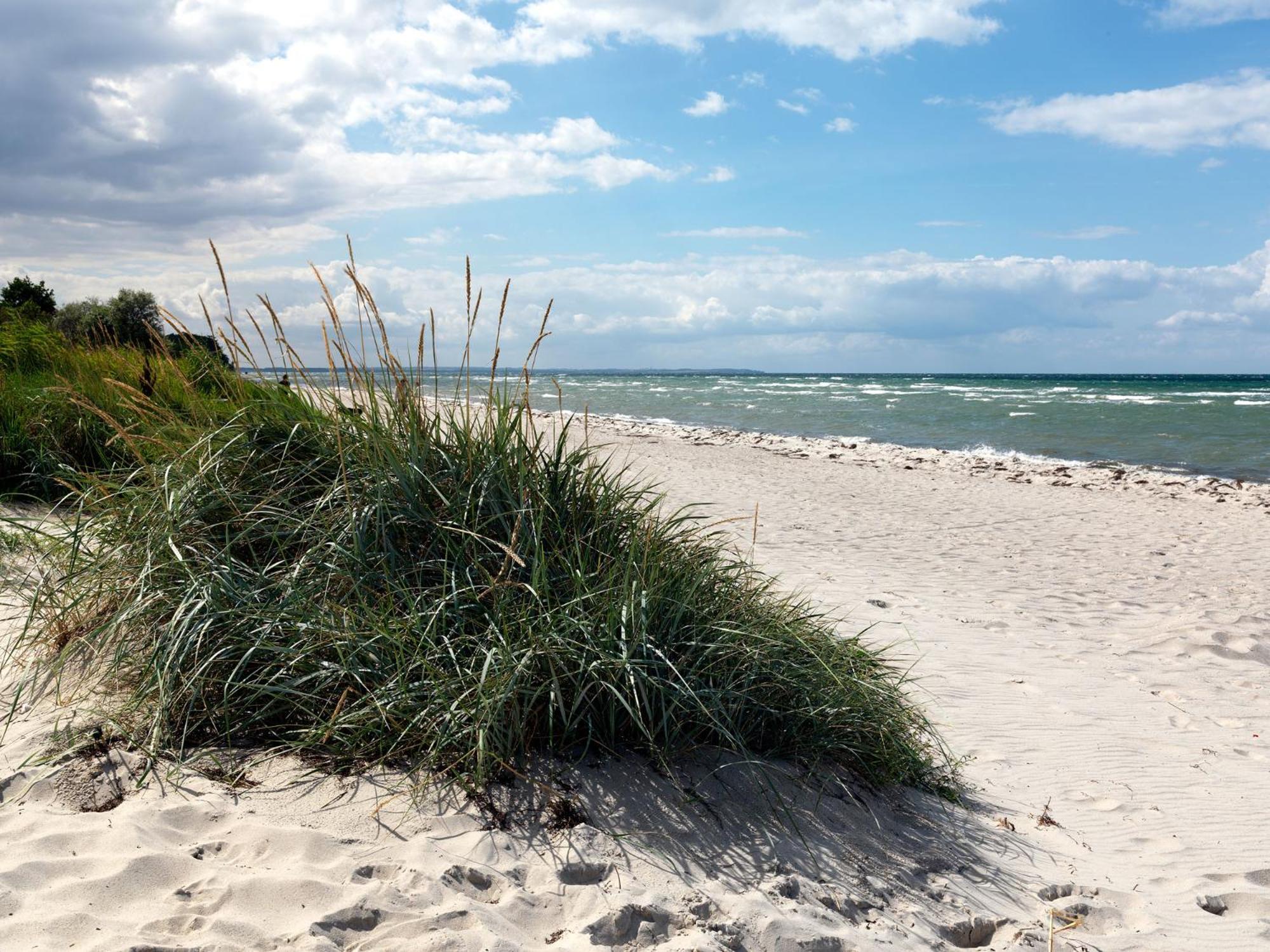 Landhaus Residenz Ostsee Meeresbrise إنسيل بويل المظهر الخارجي الصورة