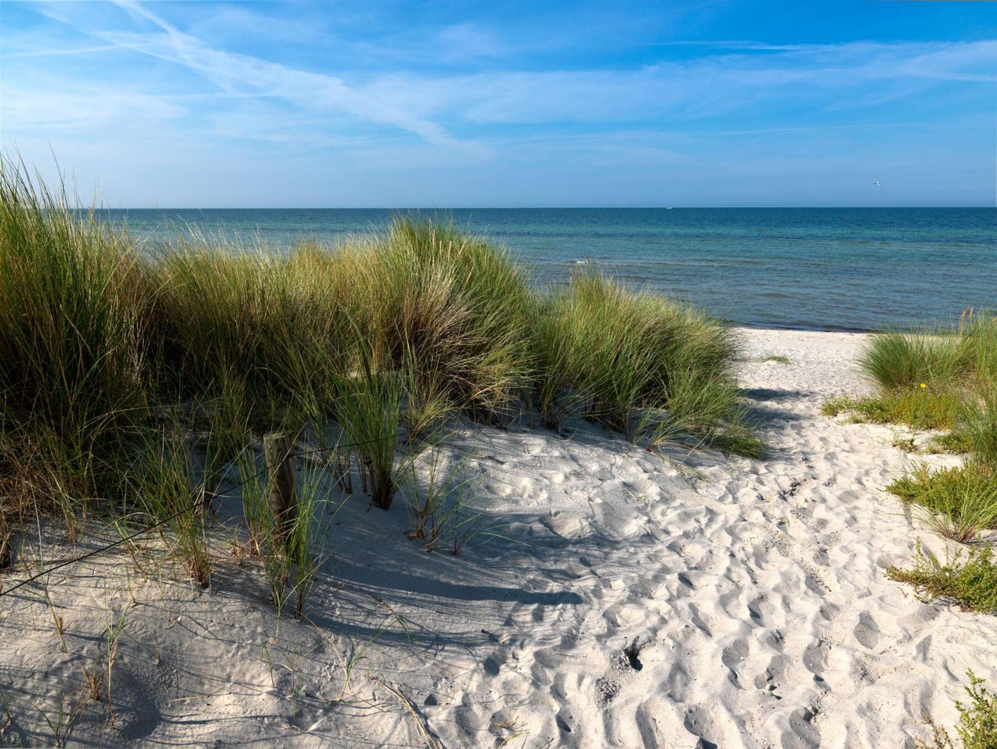 Landhaus Residenz Ostsee Meeresbrise إنسيل بويل المظهر الخارجي الصورة